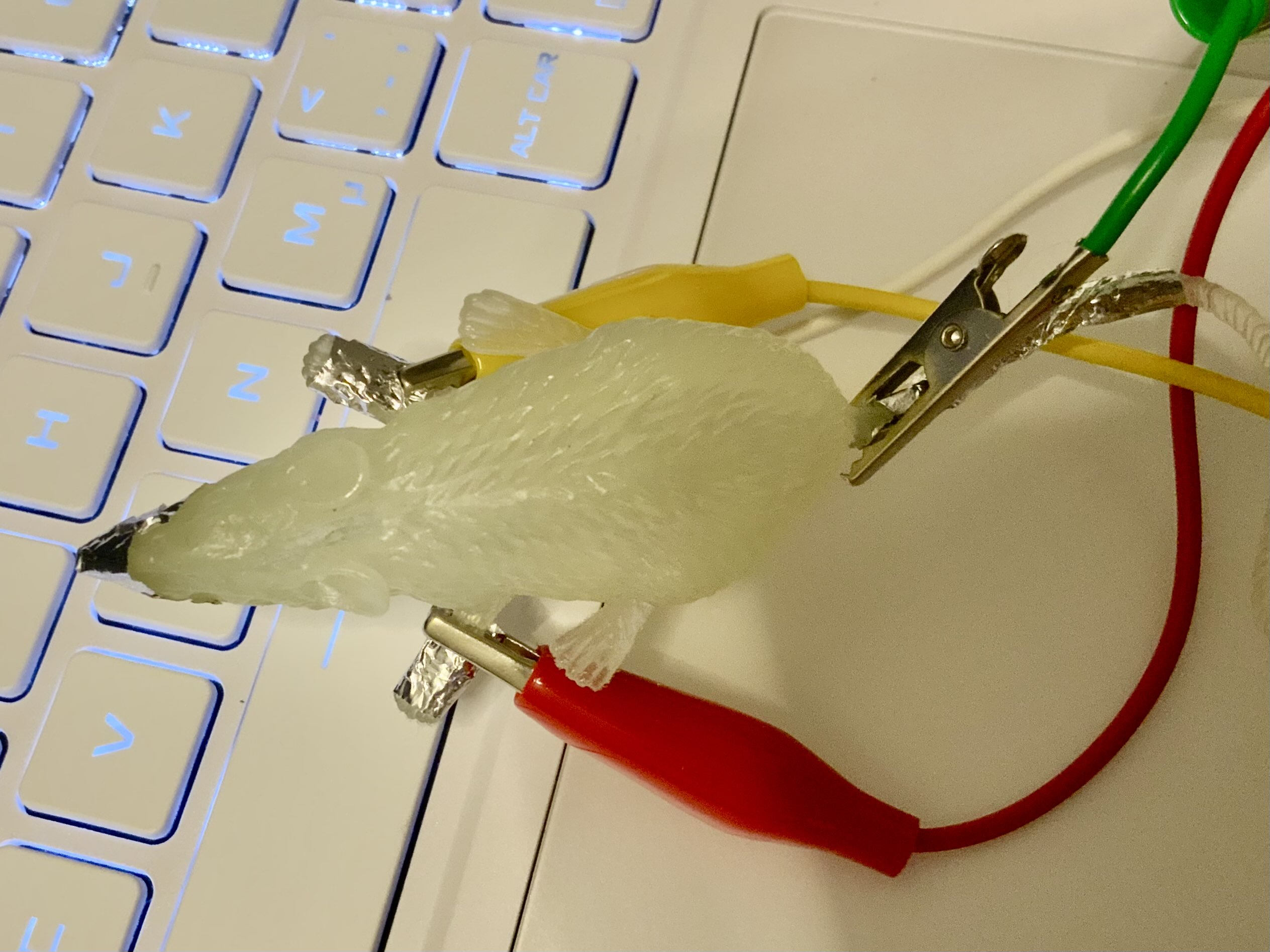 Rat controller topside.